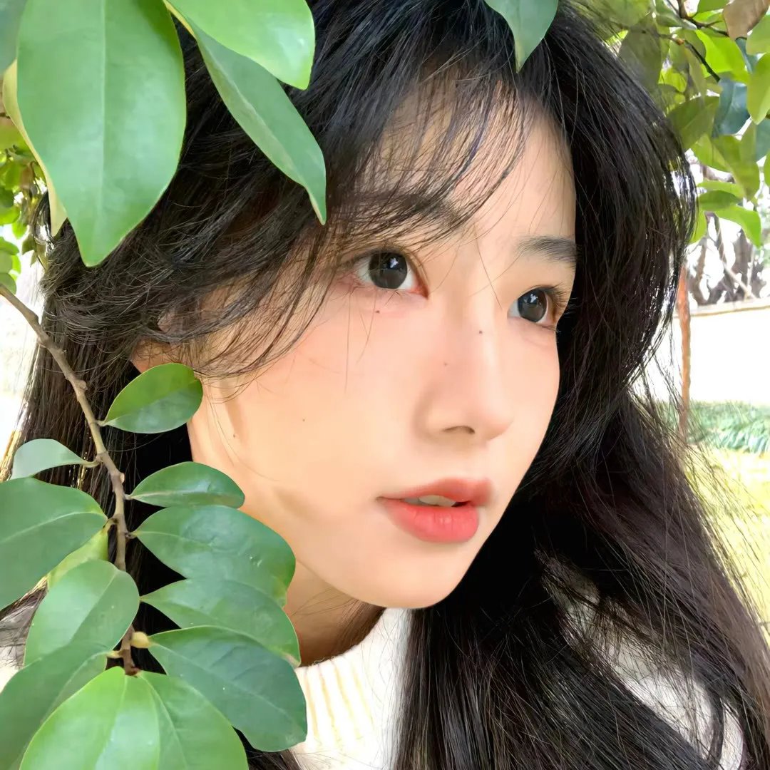 好歌有约